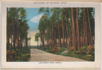 file details