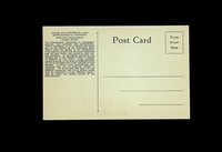 file details