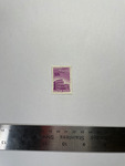 file details