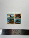 file details