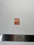 file details