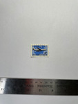 file details