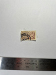 file details