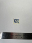 file details