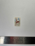 file details