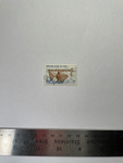 file details