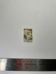 file details