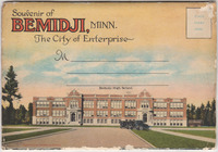 Bemidji Postcard Foldout miniatura