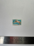 file details