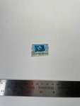 file details