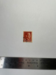file details