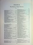 file details