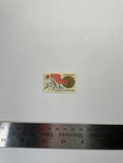 file details