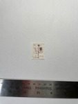 file details