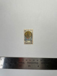 file details