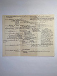 file details